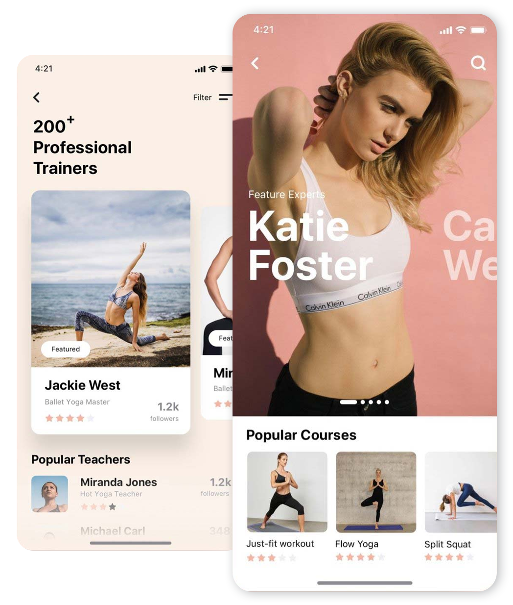 Fitness Interface